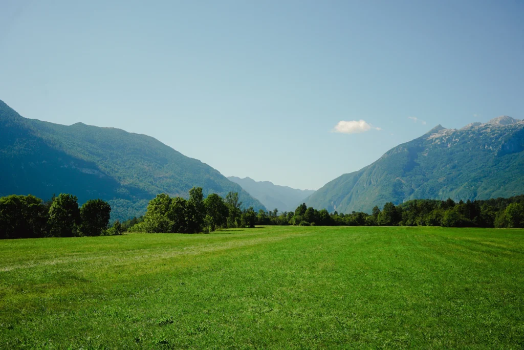 Fields / Meadows 10